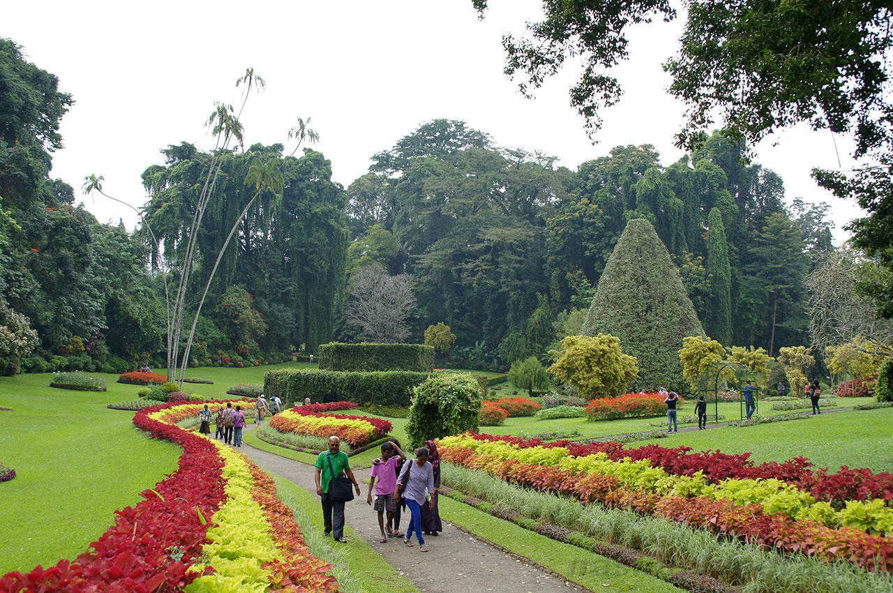 Королевский ботанический сад в Перадении