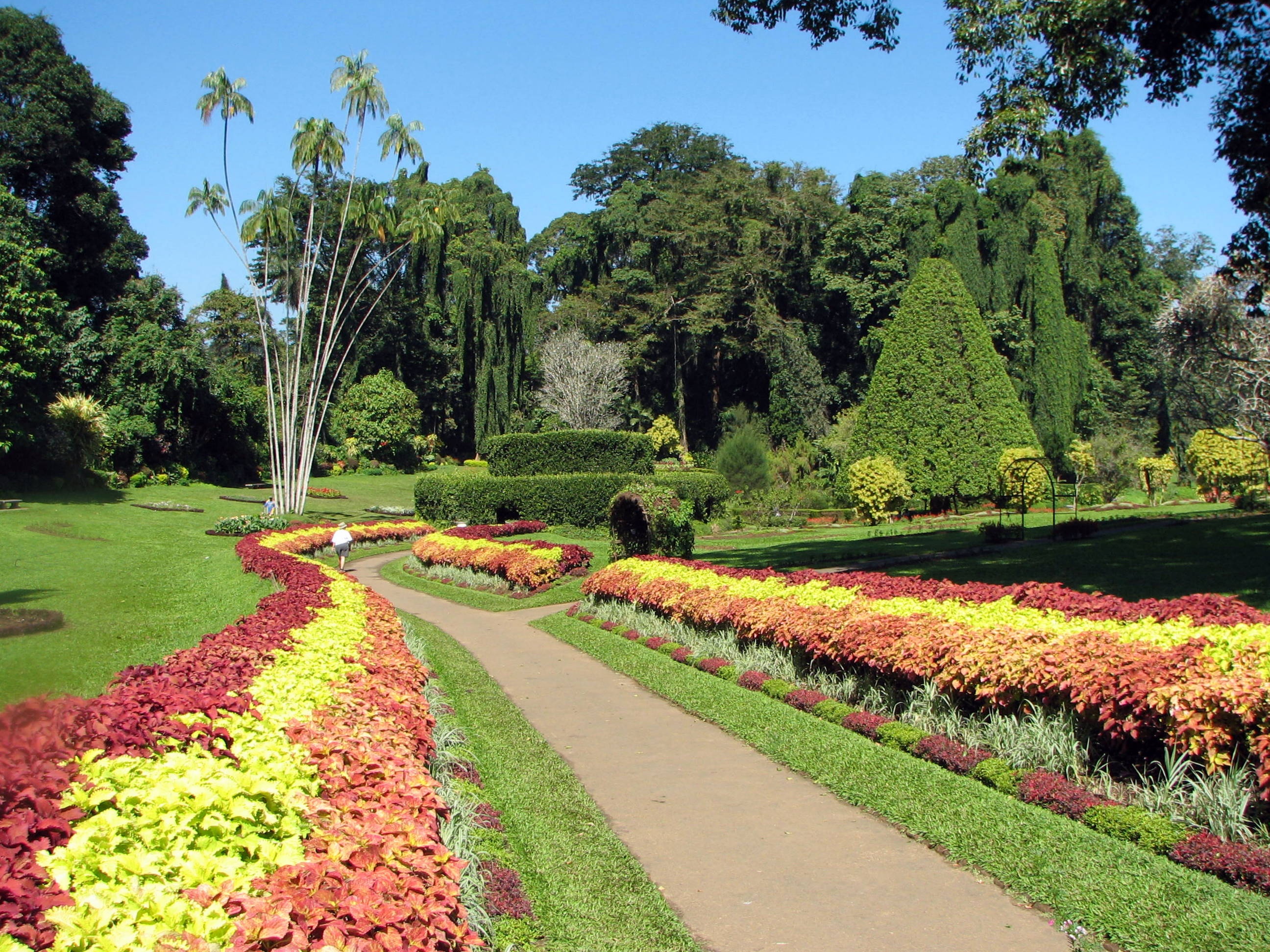Дорога из цветов в Королевском ботаническом саду