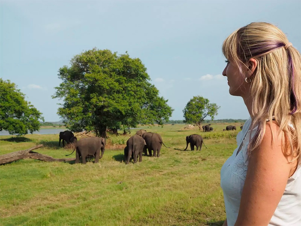 Туристка и слоны