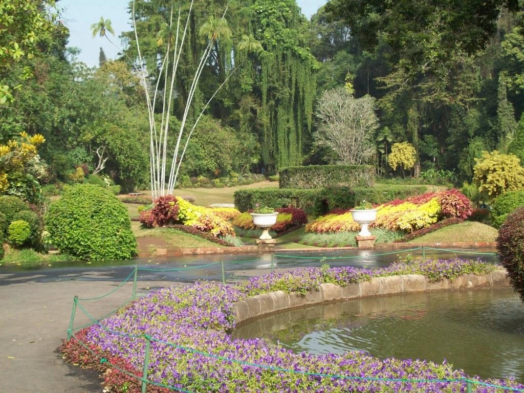 Королевский ботанический сад