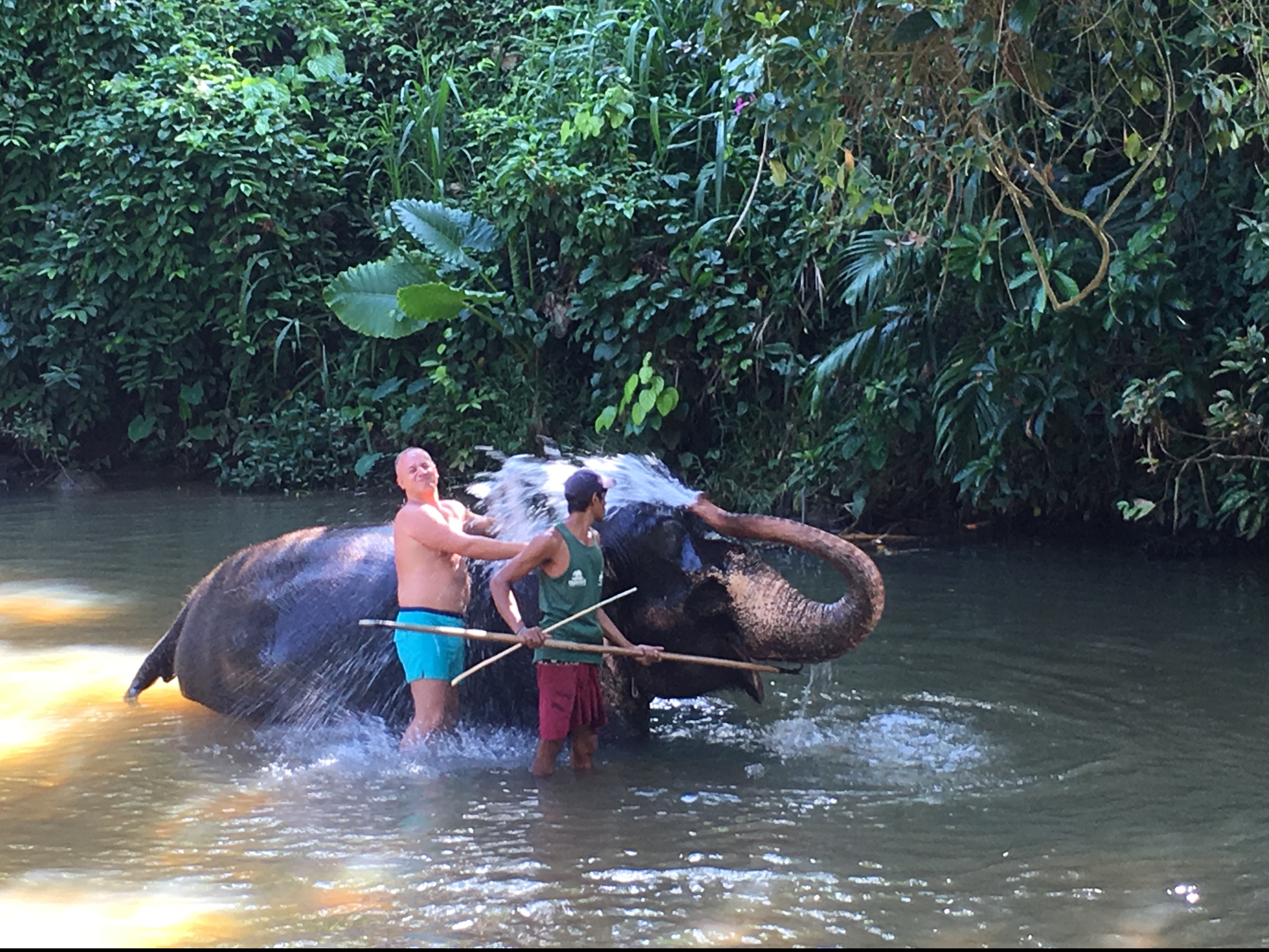Турист в речке купается со слоном