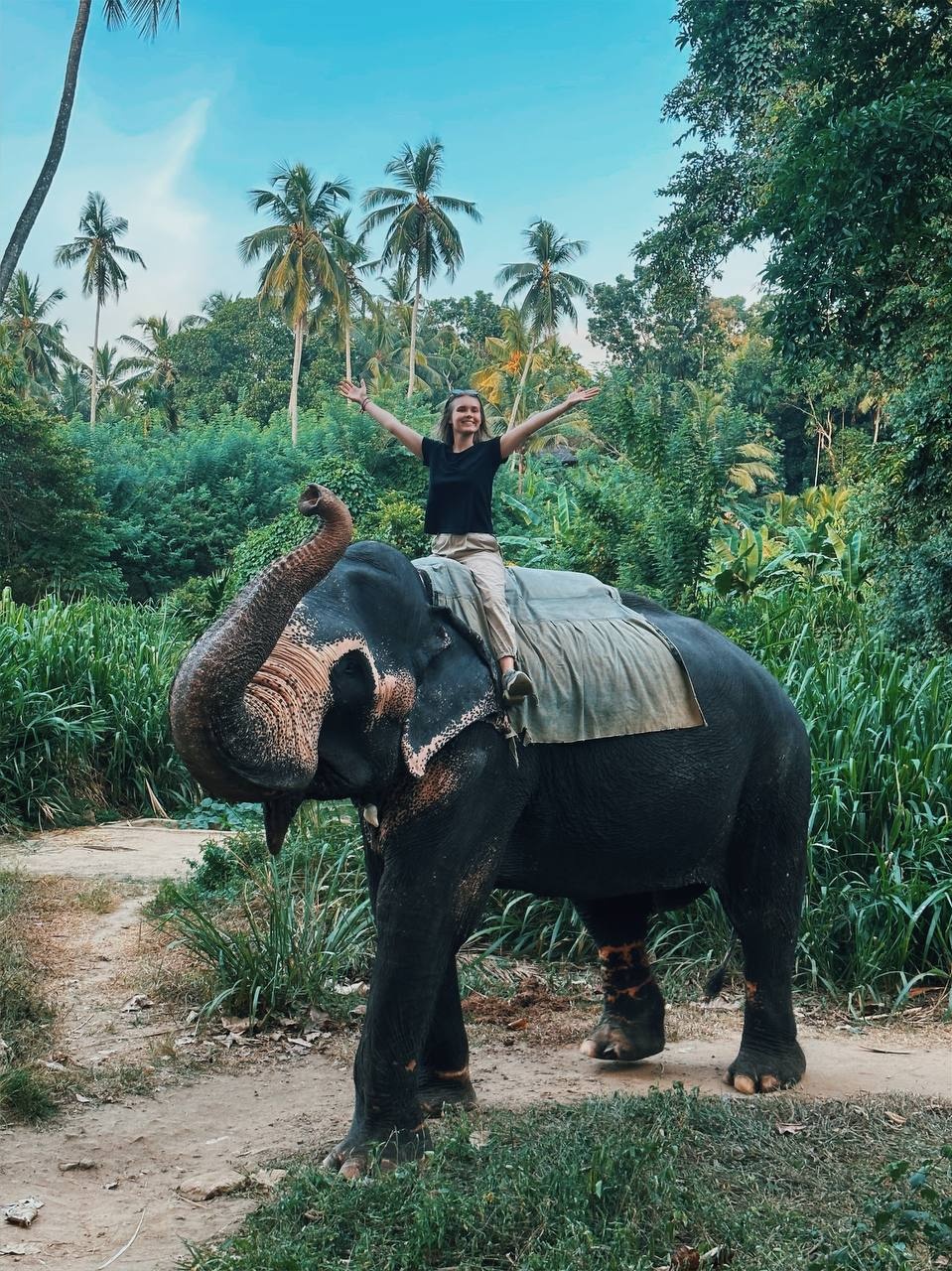 Туристка на слоне