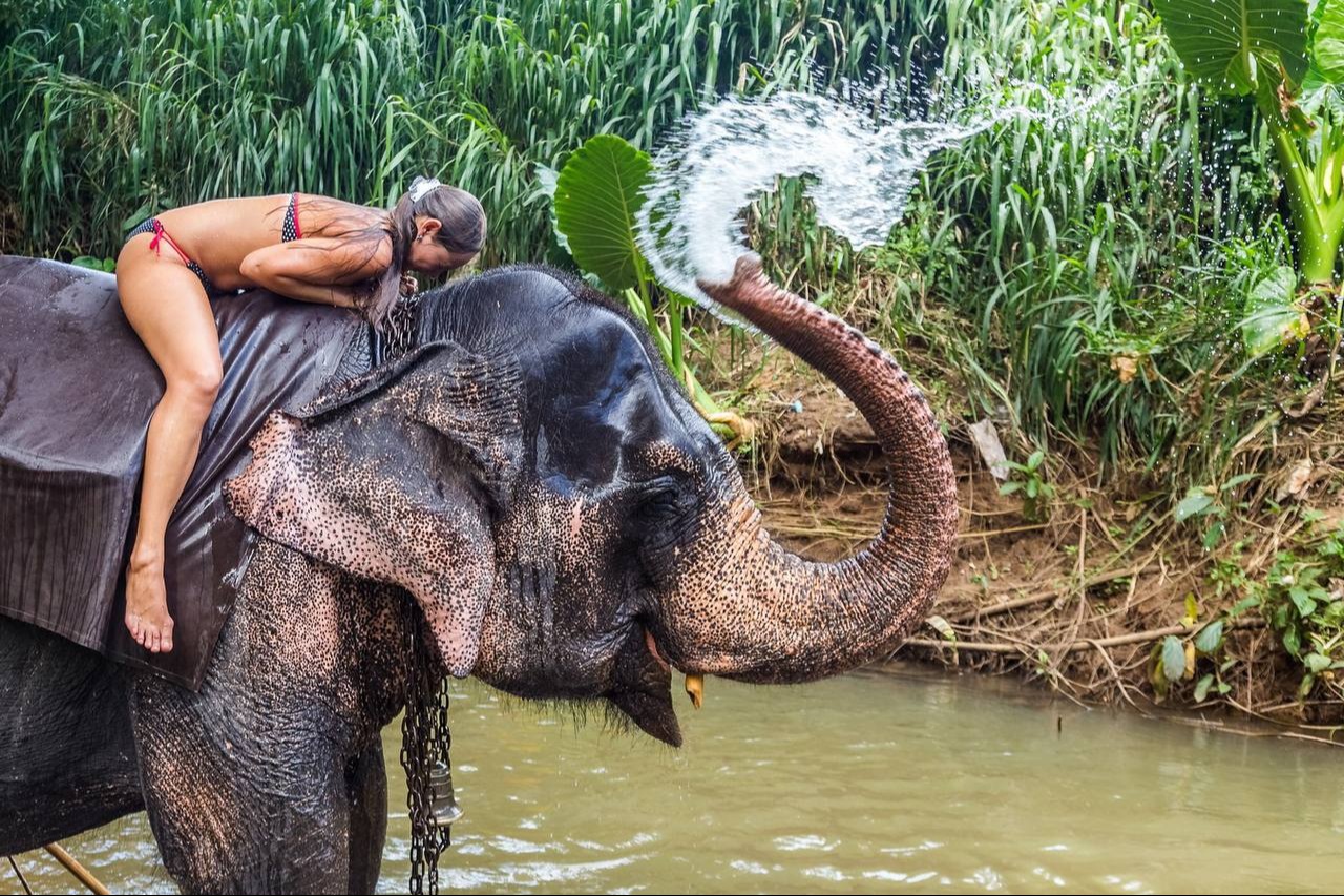 Туристка купается со слоном