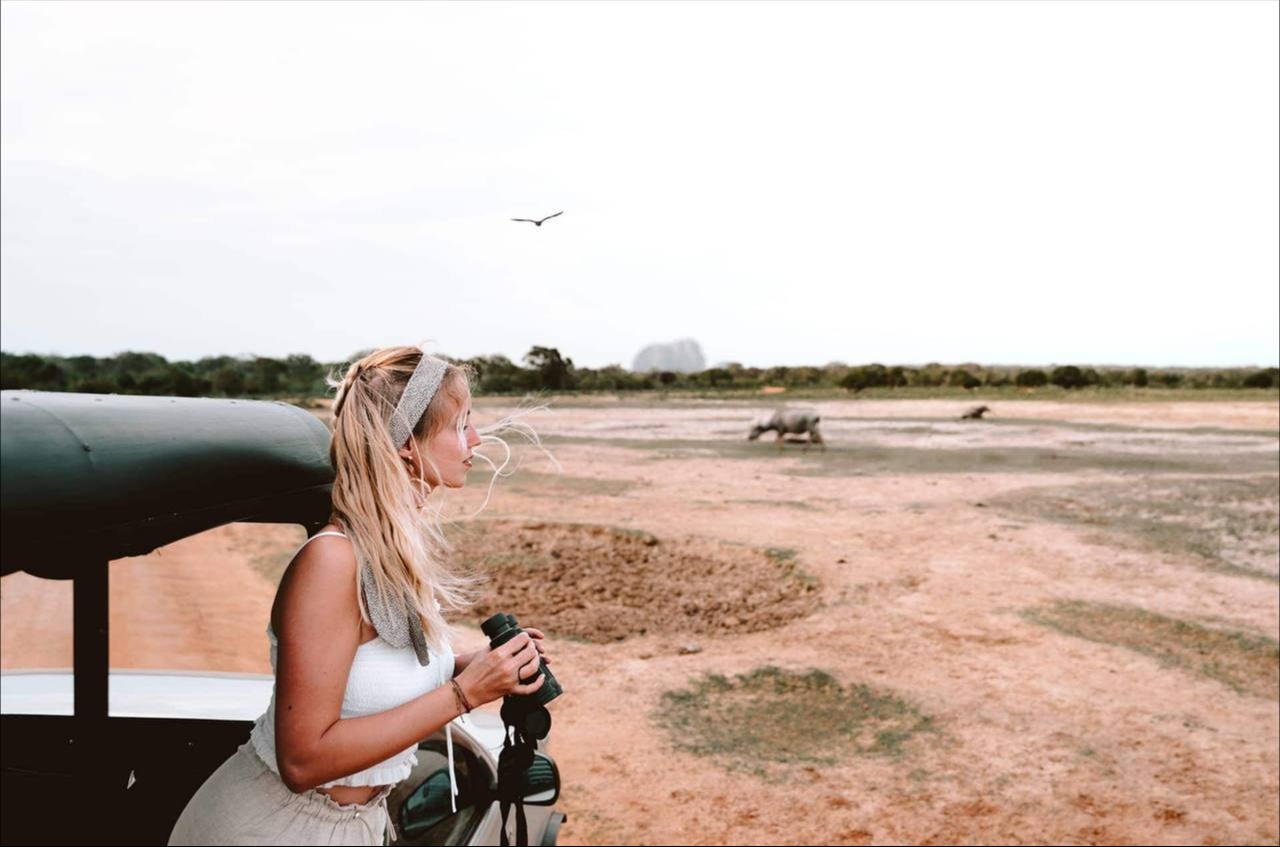 Туристка на сафари наблюдает за слонами